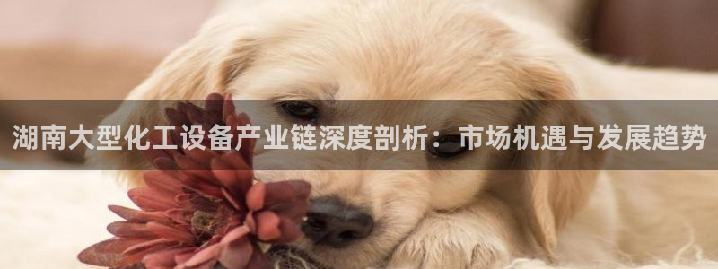 门徒平台管 5O6917 门徒