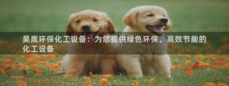 门徒平台开户流程