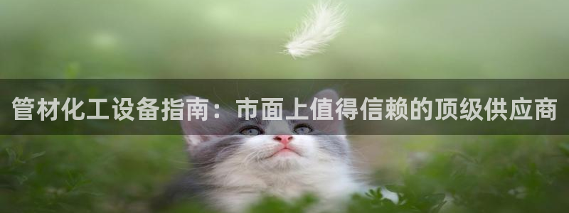 门徒娱乐用户评价与反馈