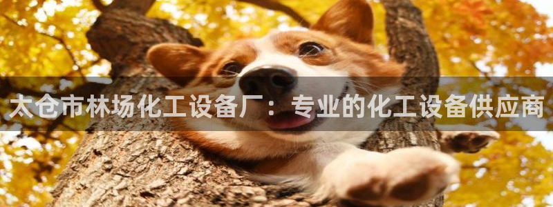 门徒娱乐黑钱