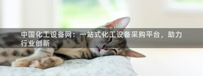 门徒平台注册登陆失败原因