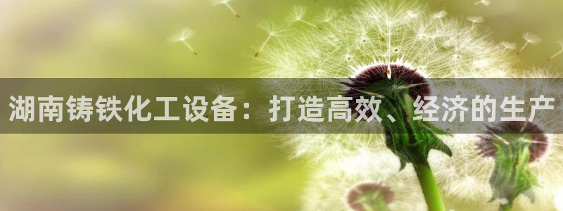 门徒平台登录注册流程