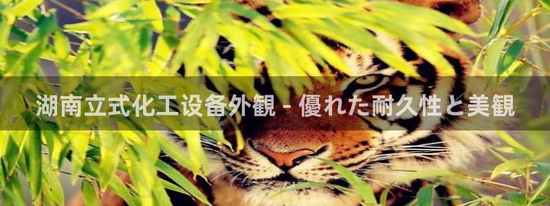门徒娱乐的客服服务