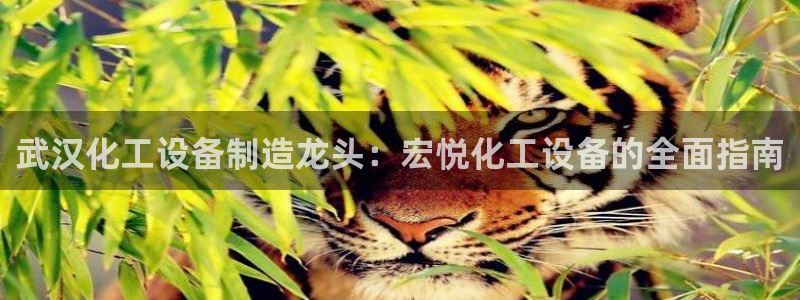 门徒娱乐创始人简介图片