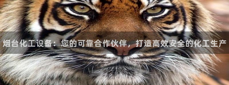 门徒平台代理多少钱
