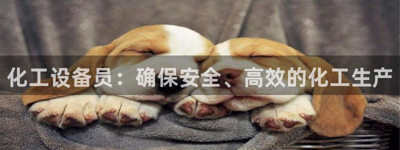 门徒平台招商
