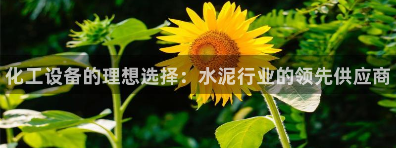 门徒平台地址