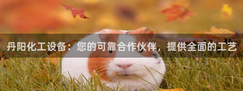 门徒娱乐如何注册登陆