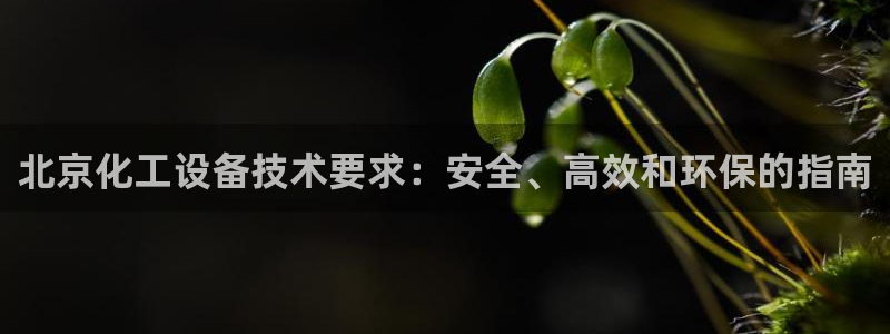门徒娱乐用户评价与反馈