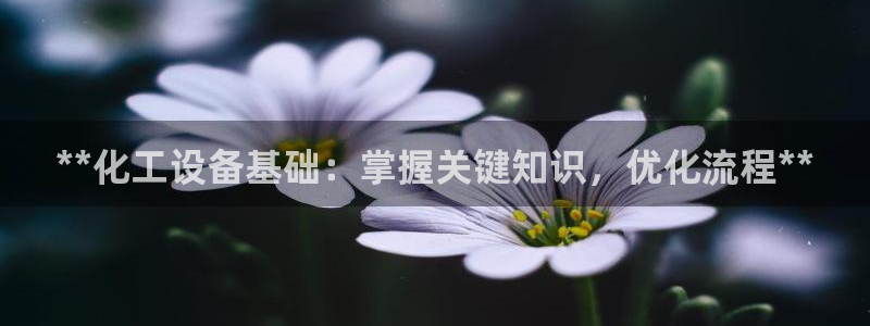 门徒平台集团官网下载