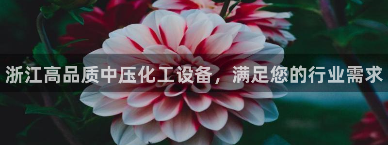 门徒娱乐创始人简介