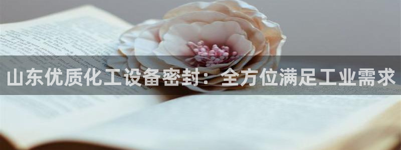 门徒平台登录地址：山东优质化工设备密封：全方位满足