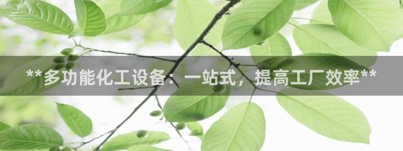 门徒娱乐项目