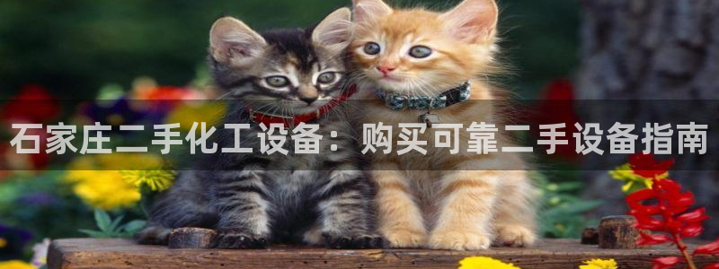 门徒平台开户要求有哪些