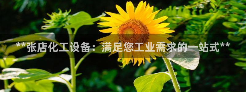 门徒娱乐有人被黑吗：**张店化工设备：满足您工业需
