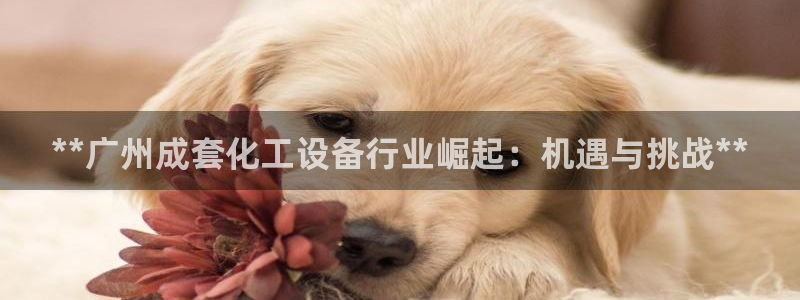 门徒平台登录步骤