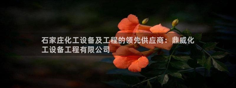 门徒平台主管代理：石家庄化工设备及工程的领先供应商
