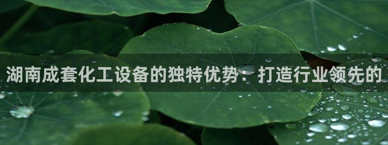 门徒平台开户：湖南成套化工设备的独特优势：打造行业