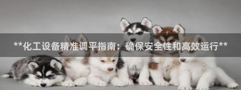 门徒娱乐会不会突然倒闭