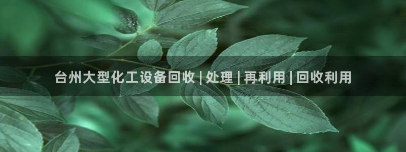 门徒平台测速网址是多少