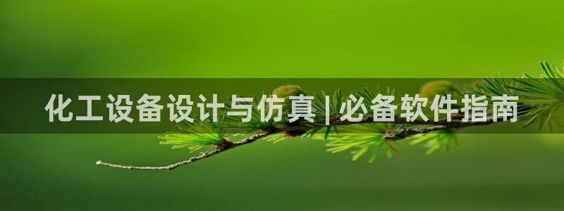 门徒平台定制 411O31 门徒