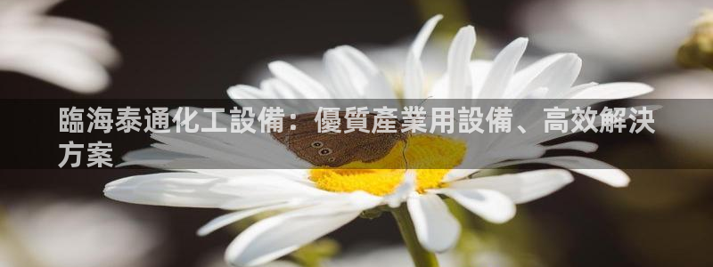 门徒平台开户要求