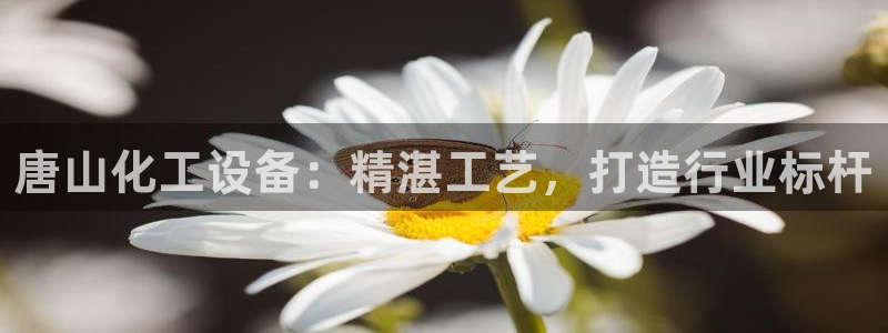 门徒平台招商