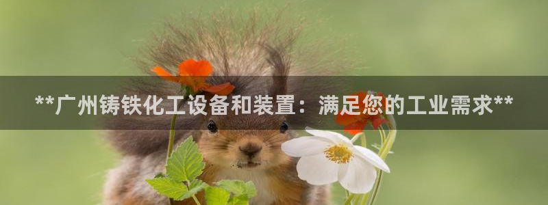 门徒平台官网首页下载