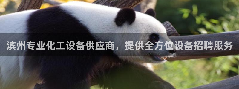 门徒平台定制 411O31 门徒