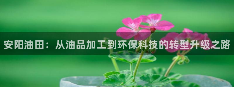 门徒平台型7O777