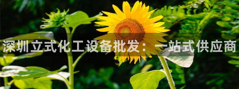 门徒平台管 5O6917 门徒：深圳立式化工设备批