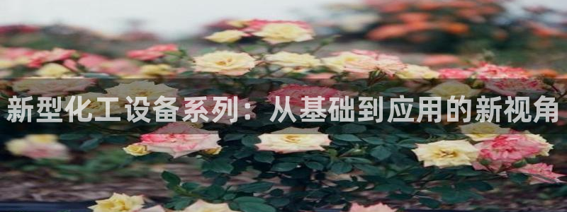 门徒娱乐的创始人背景：新型化工设备系列：从基础到应用的新视角