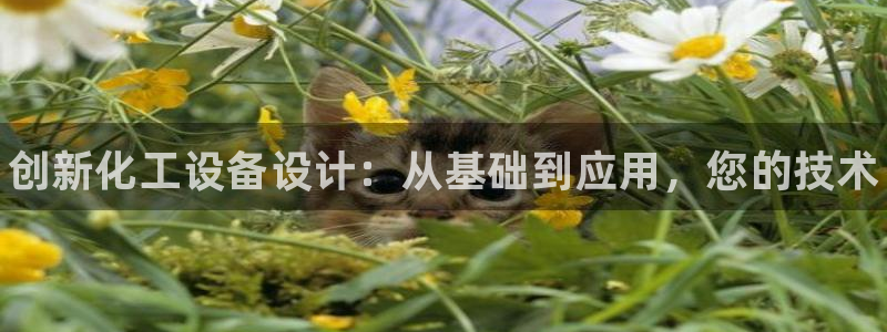 门徒平台官网注册入口