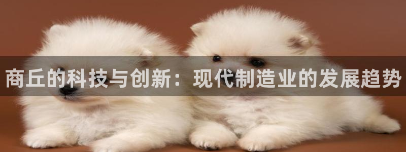 门徒娱乐是什么意思啊