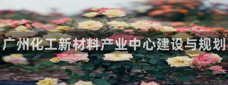 门徒平台官网注册：广州化工新材料产业中心建设与规划
