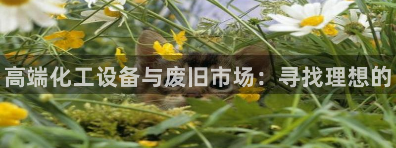 门徒娱乐客服电话