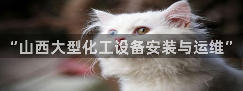 门徒娱乐是不是跑路了